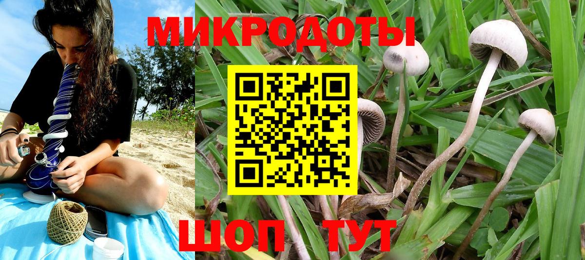 Псилоцибиновые грибы MAGIC MUSHROOMS  Вход с VPN  Краснознаменск 