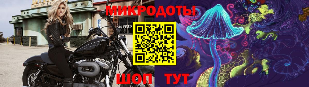 Галлюциногенные грибы Cubensis Краснознаменск